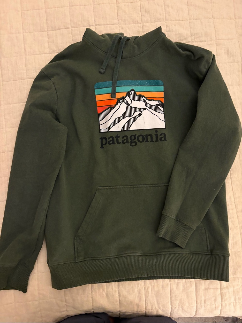 Patagonia unisex Forest Green Graphic Hoodie Uprisal size L